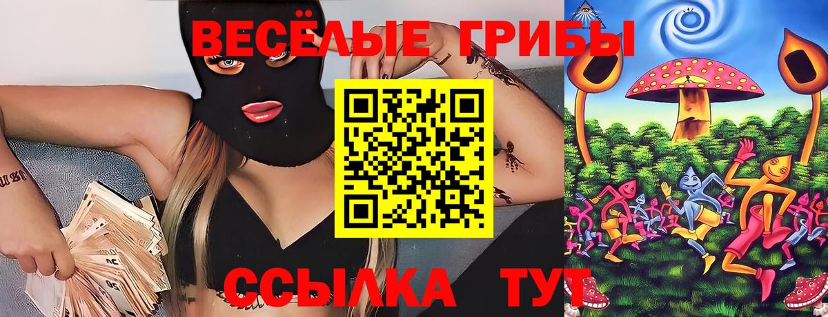Галлюциногенные грибы Magic Shrooms Алексин
